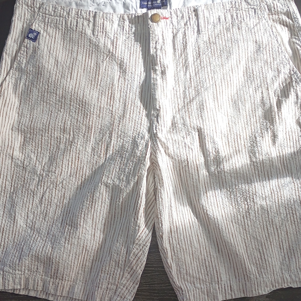 Caribbean Joe Men's 38" Cream and Brown Striped Shorts. Like NEW.